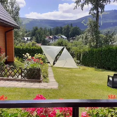 Ambra * 스클라르스카포렘바